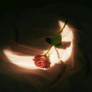 paigeturnah黑白配
