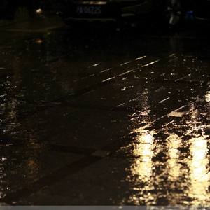 paigeturnah黑白配
